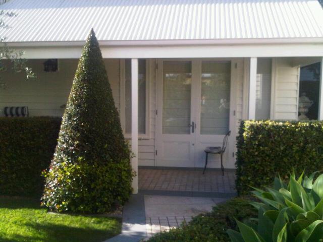 Apollo Bay Guest House Rom bilde